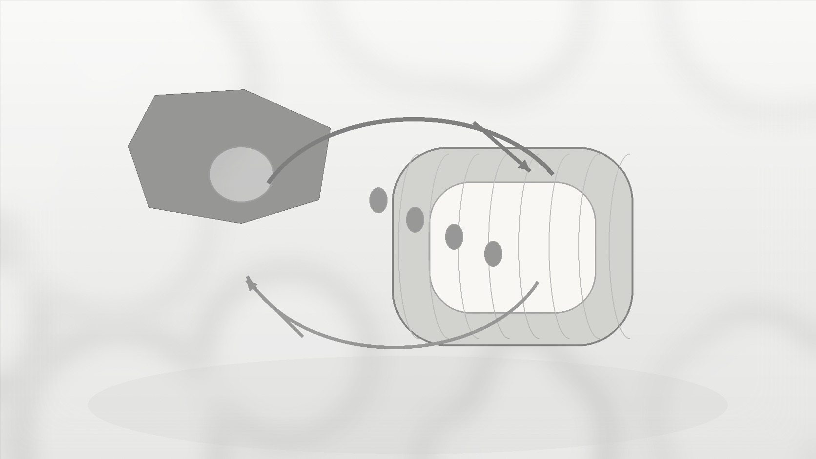 Monochrome illustration of liver, intestine, and circular bile acid recycling route.