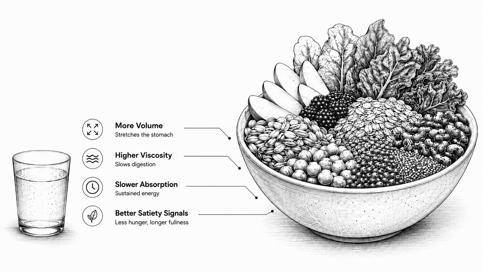 Monochrome illustration of fibre foods, stomach stretch, viscosity, texture, appetite signals, and a complete meal bowl.
