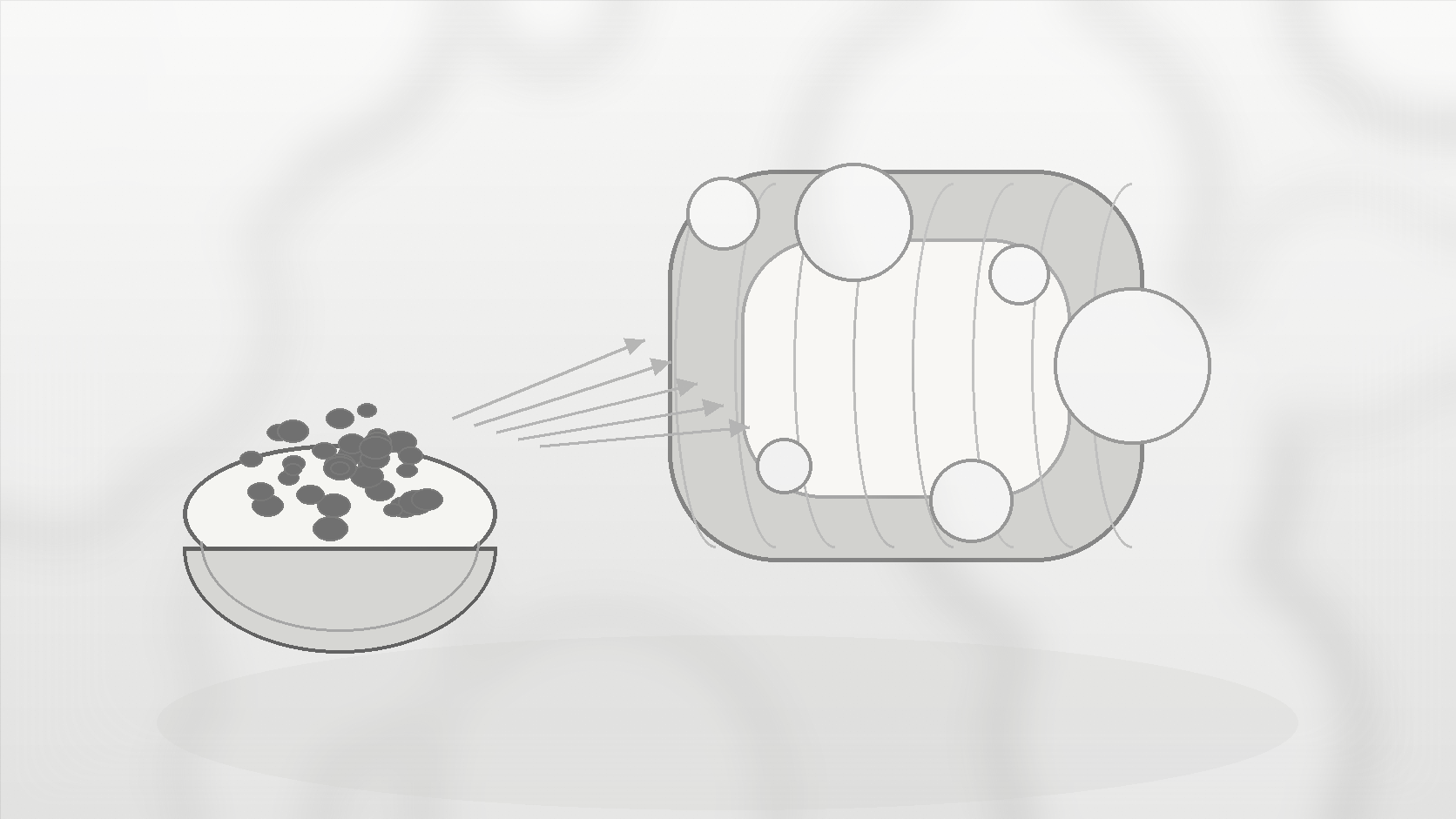 Monochrome illustration of fermentation bubbles inside a gut outline with fibre foods nearby.