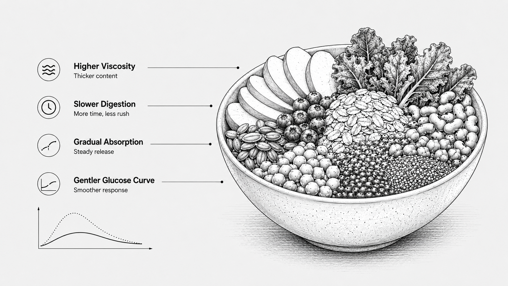 Monochrome illustration of food structure, fibre viscosity, the small intestine, glucose absorption, and a measured glucose curve.