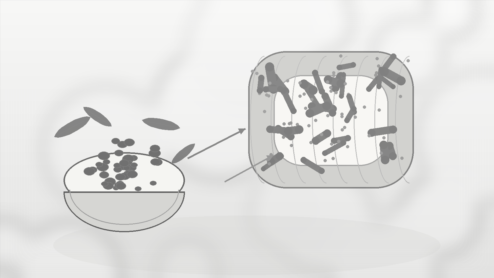 Monochrome illustration of fibre foods moving toward gut microbes to show prebiotics as microbial substrate.