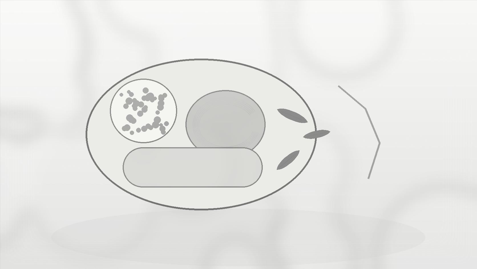 Monochrome illustration of a plate with rice, roti, dal, vegetables, and meal-structure cues.